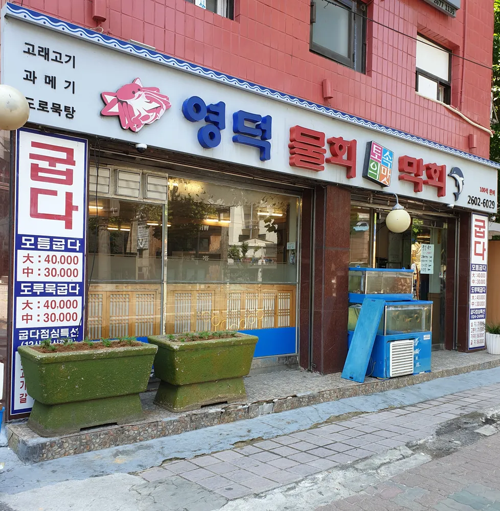 영덕물회막회 대표 이미지