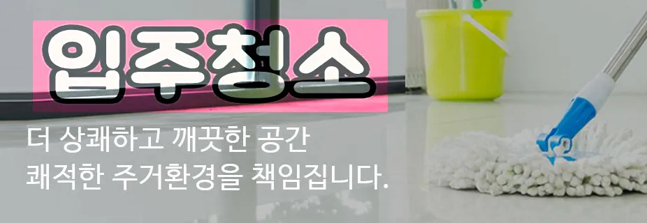 노블이사입주청소 대표 이미지