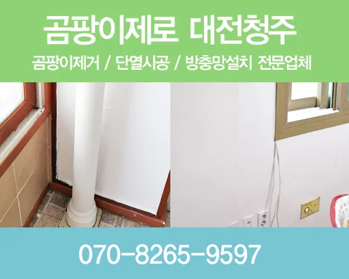 곰팡이제로 대표 이미지