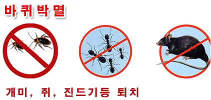 바퀴잡는세븐 대표 이미지