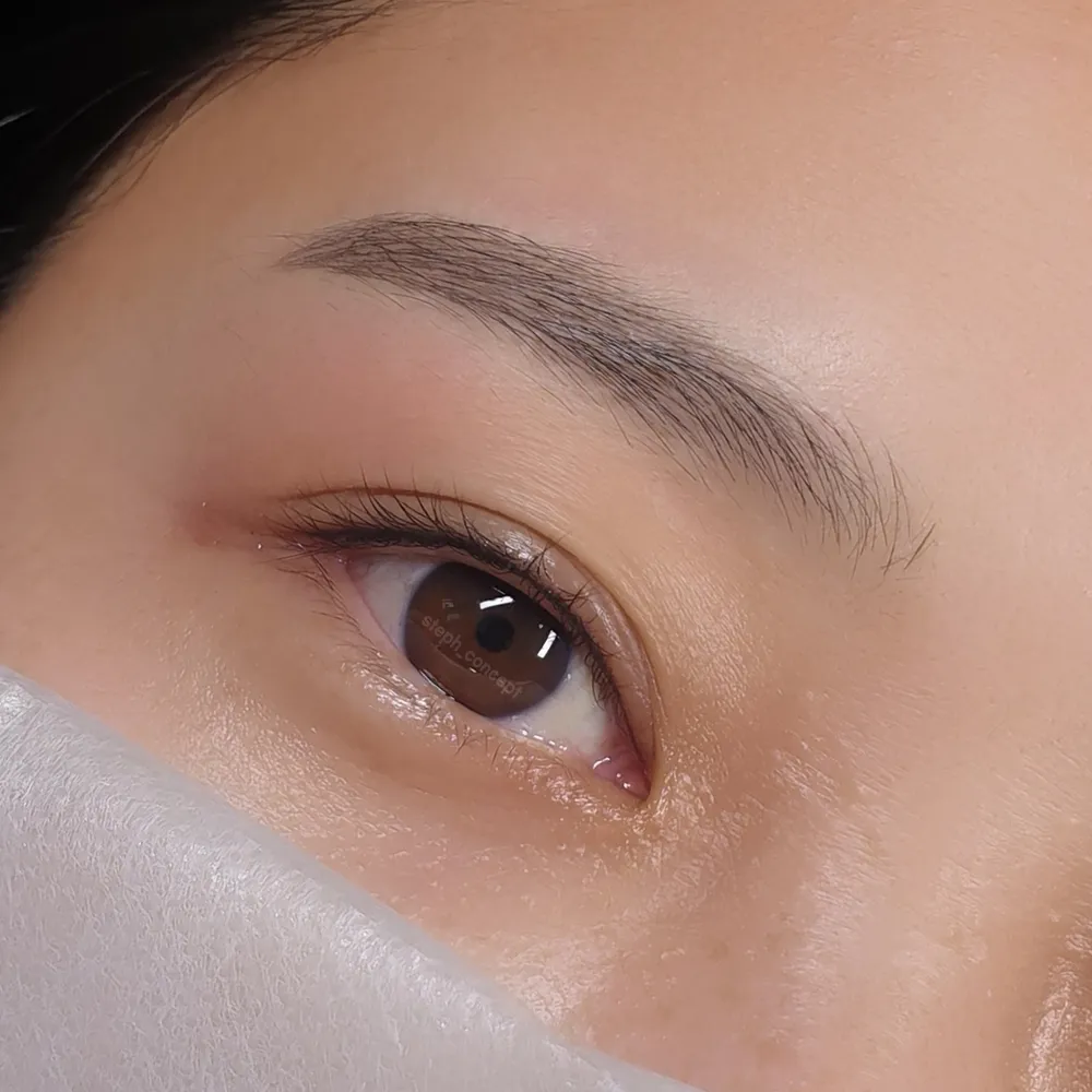 스테파니컨셉 대표 이미지
