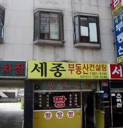 세종부동산컨설팅 대표 이미지