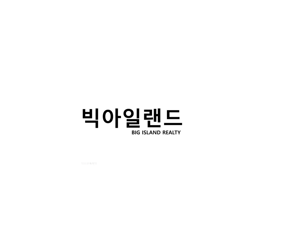 빅아일랜드부동산컨설팅 대표 이미지