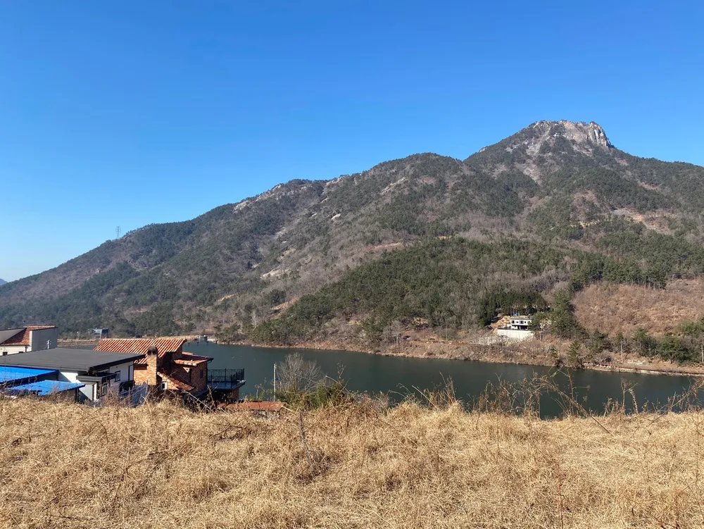 대박부동산컨설팅 대표 이미지