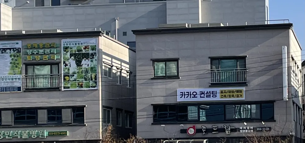 카카오컨설팅 대표 이미지