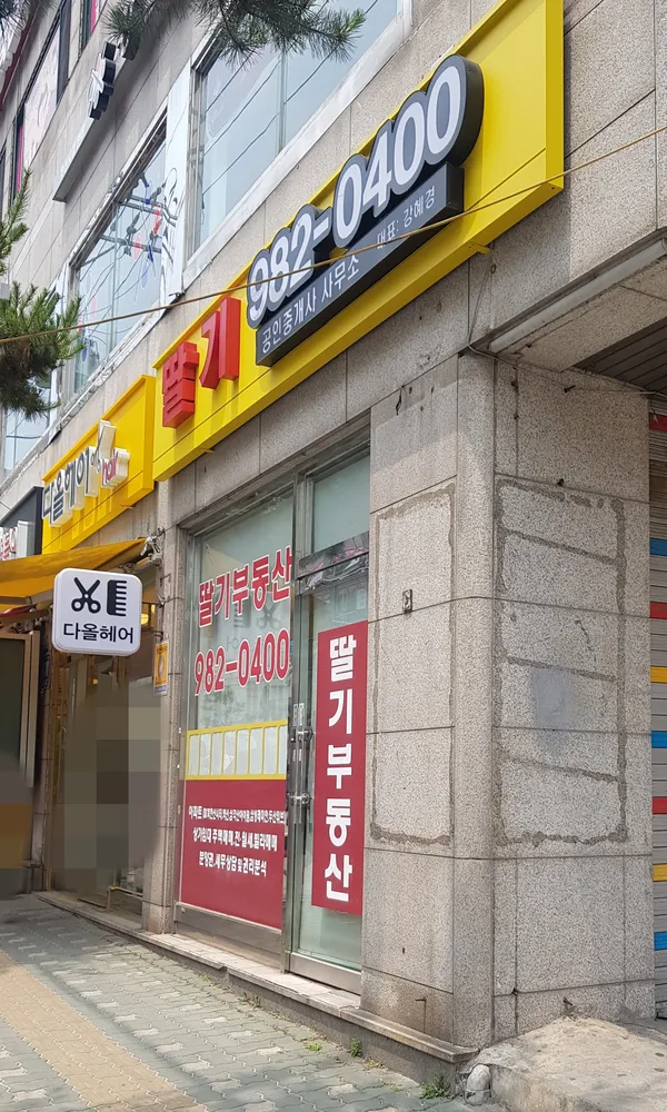 딸기부동산 대표 이미지