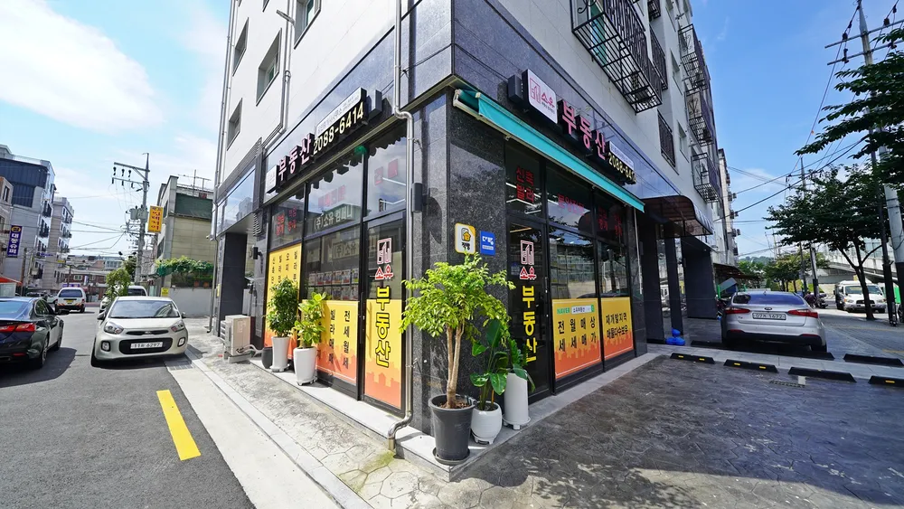 소유부동산중개법인 대표 이미지