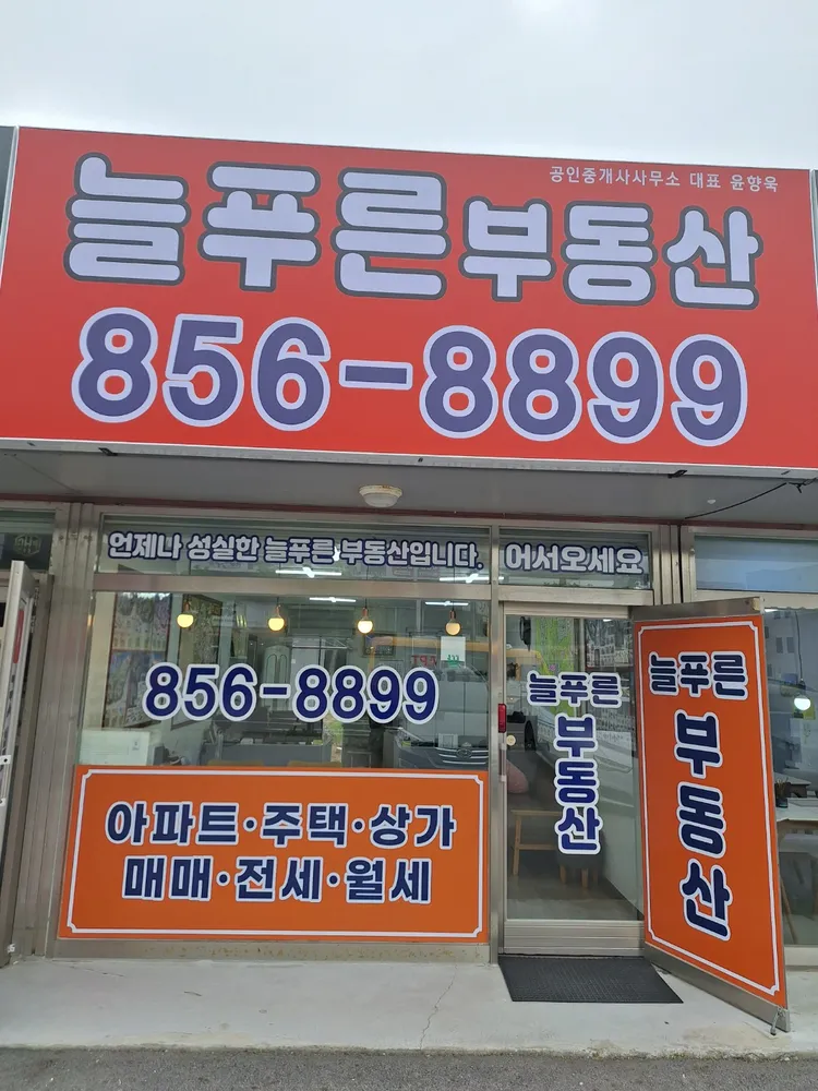 늘푸른공인중개사사무소 대표 이미지