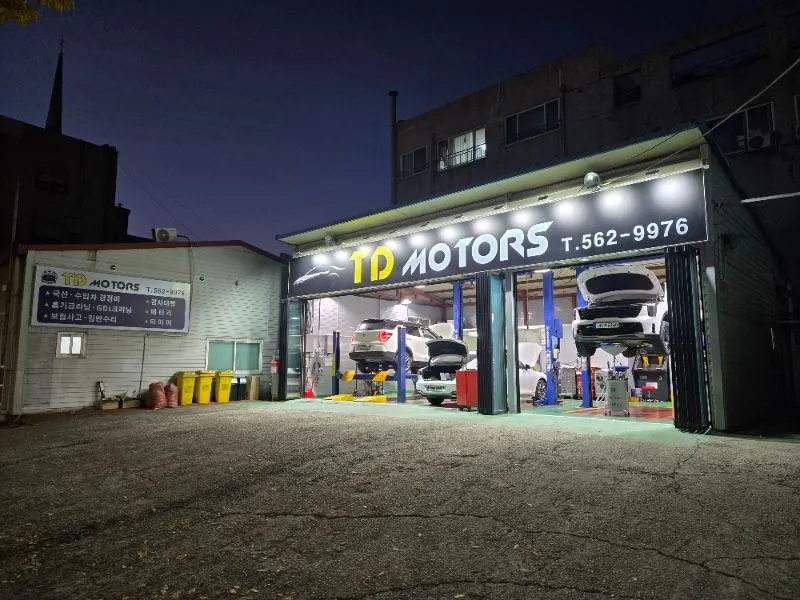 티디모터스