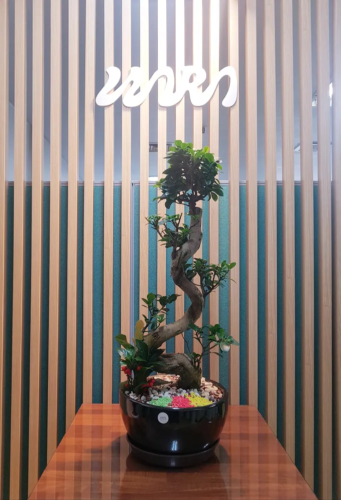 나라보험계리컨설팅 대표 이미지