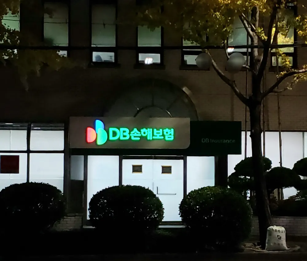 DB손해보험 대표 이미지