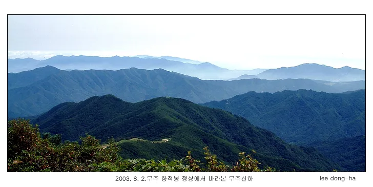 동양화재 부산지점 태종영업소 대표 이미지