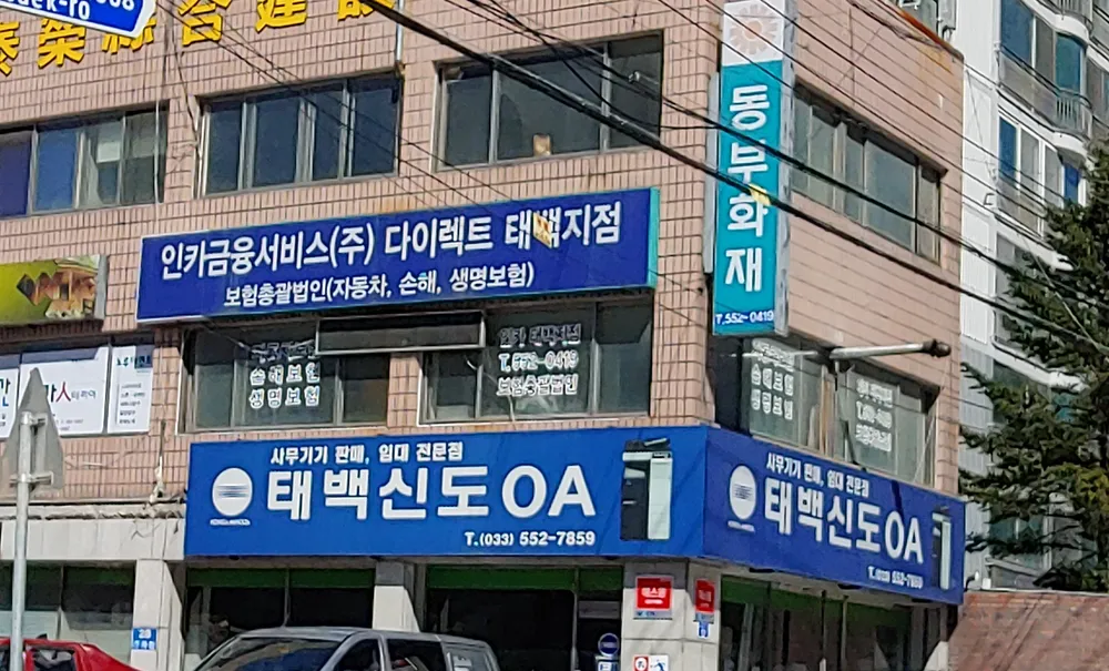 인카금융서비스다이렉트 태백지점 대표 이미지