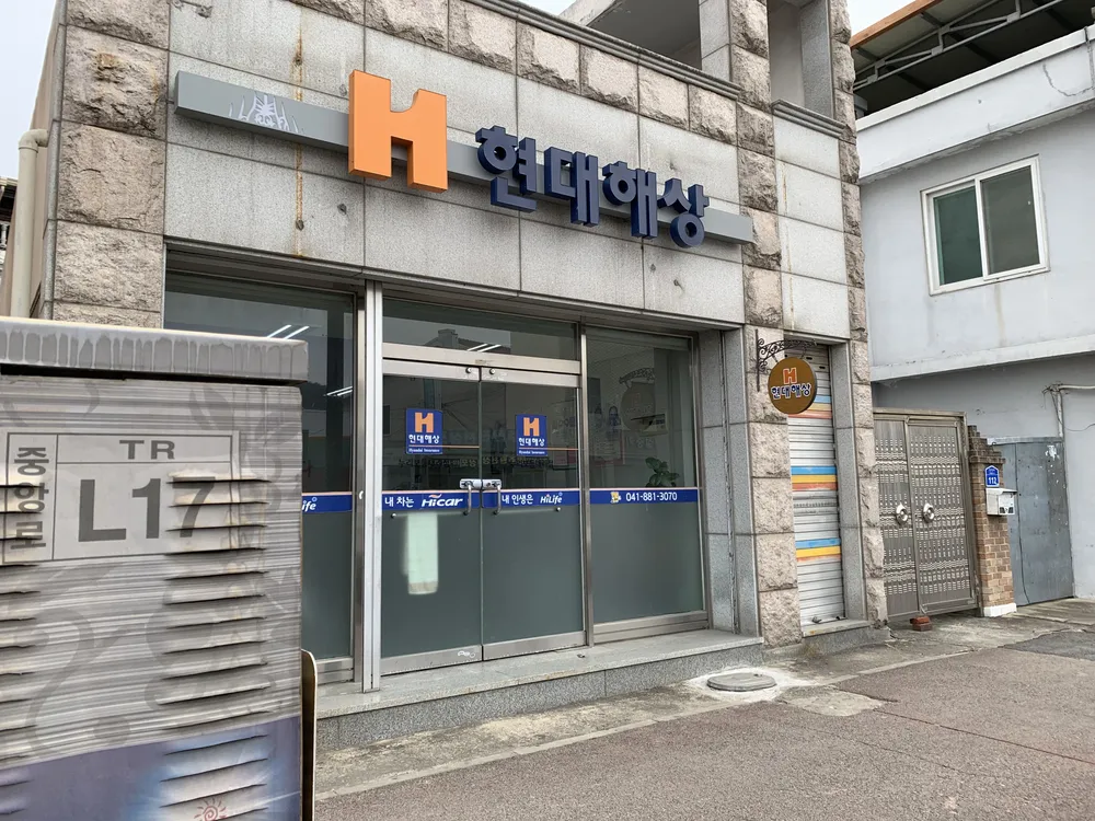 현대해상화재보험 누리보듬 대표 이미지
