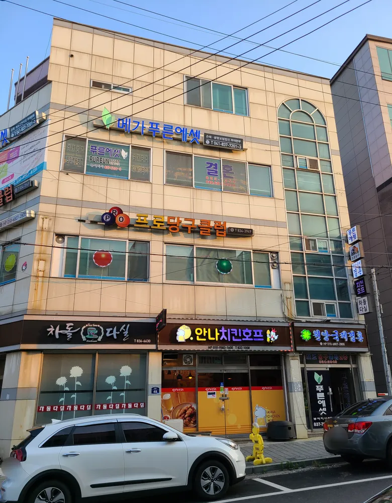 메가푸른에셋 대표 이미지