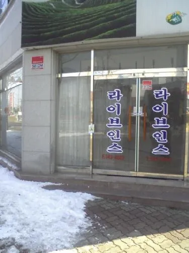 라이브인스 대표 이미지