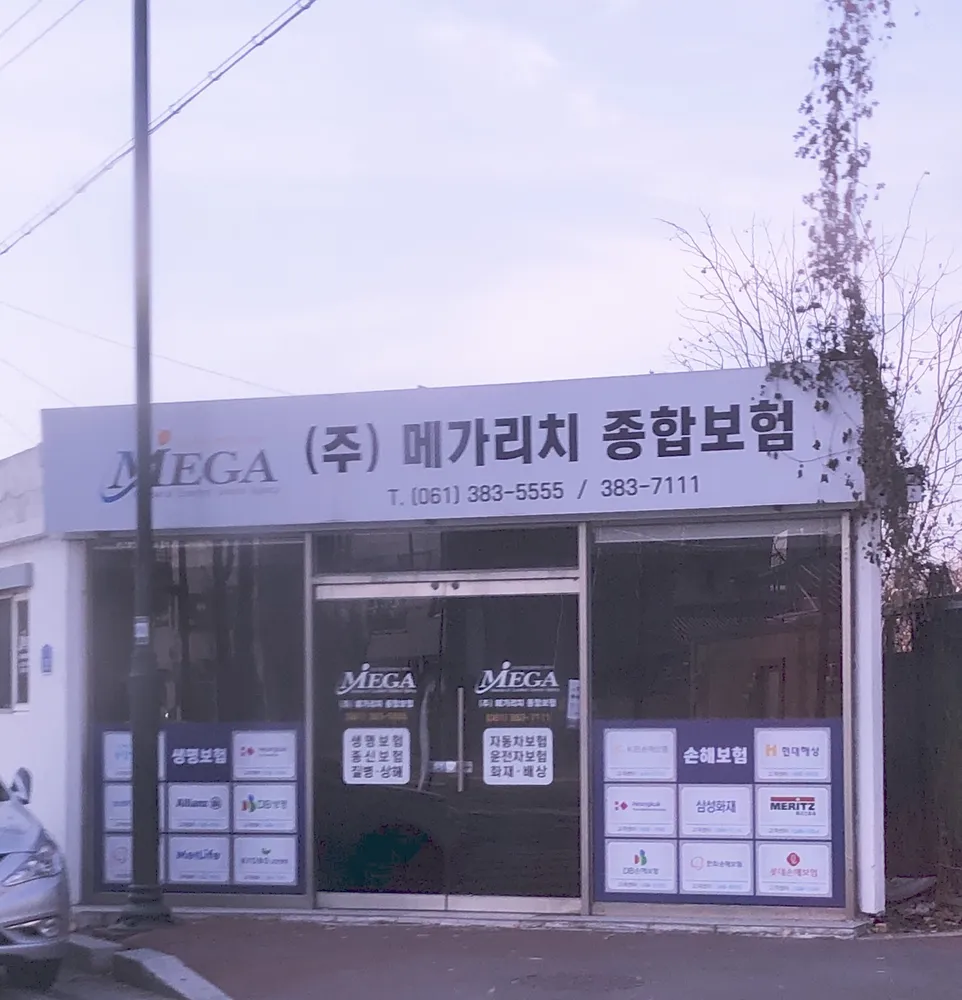 메가리치종합보험 대표 이미지