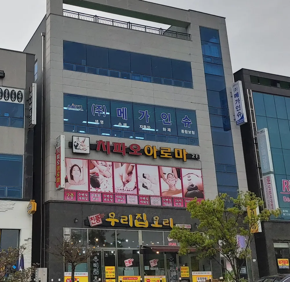 메가인슈 대표 이미지
