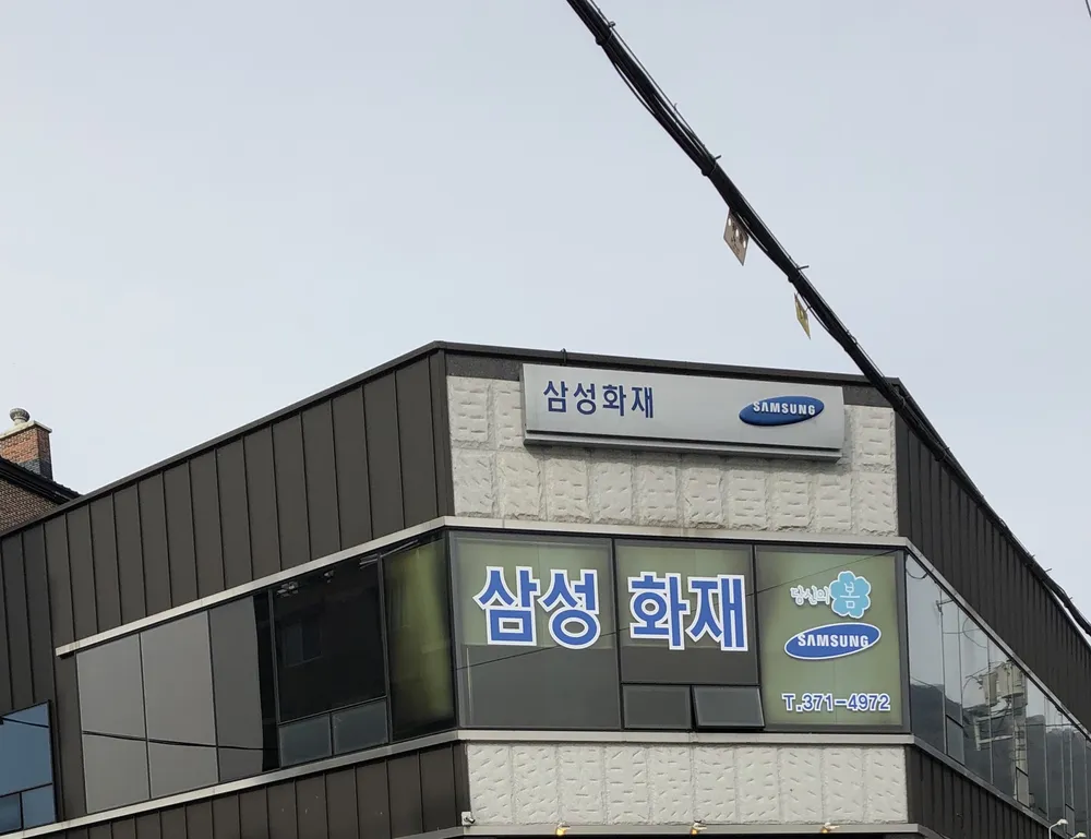 삼성화재 대표 이미지