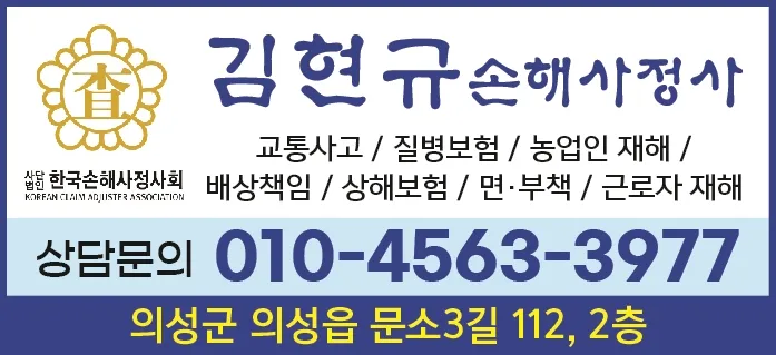 김현규손해사정사 대표 이미지