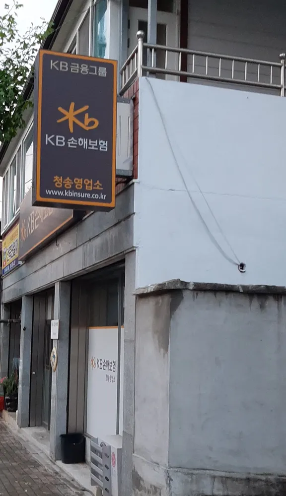 KB손해보험 청송영업소 대표 이미지