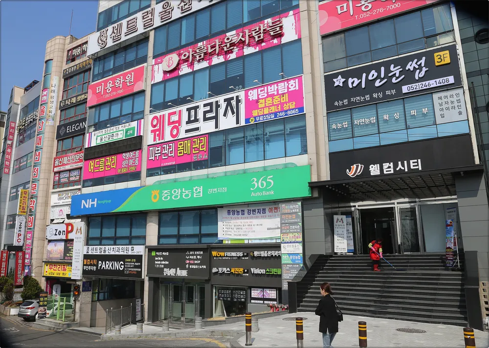 원지은 웨딩쌤 대표 이미지
