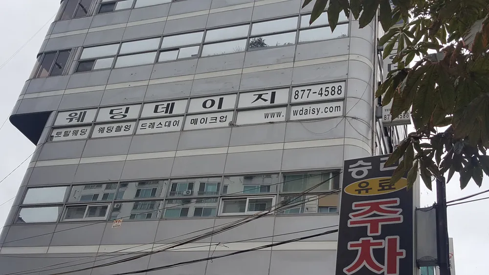 웨딩데이지 대표 이미지