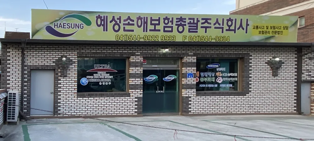 혜성손해보험총괄 대표 이미지