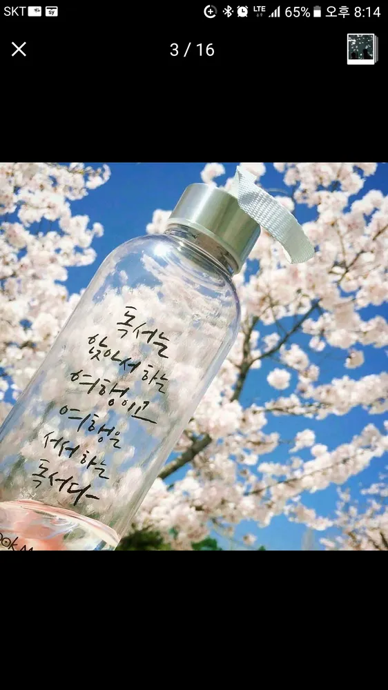 유쌤영어유학 대표 이미지