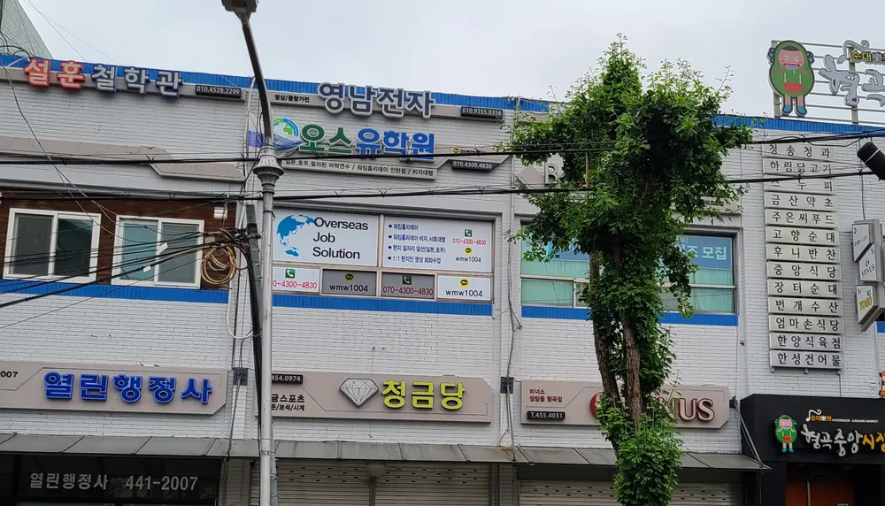 오스유학원 대표 이미지