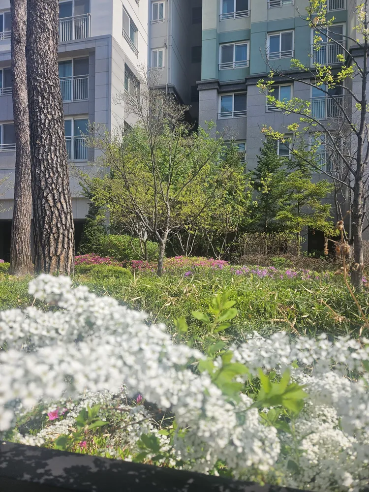 이모션프로 대표 이미지
