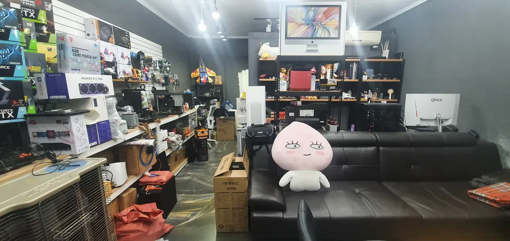 파코즈컴 대표 이미지
