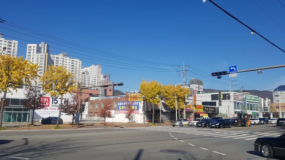 순천컴퓨터서비스 대표 이미지