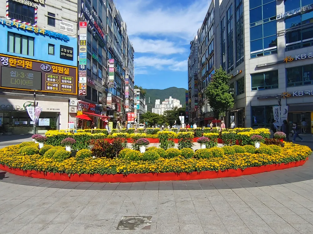 산본로데오거리상인회 대표 이미지