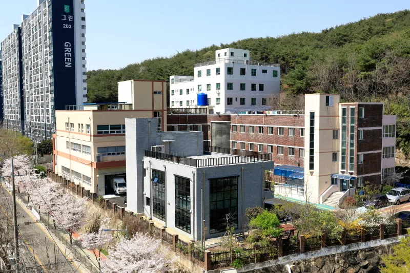 평화의집 대표 이미지