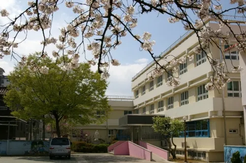 SOS아동보호센터 대표 이미지
