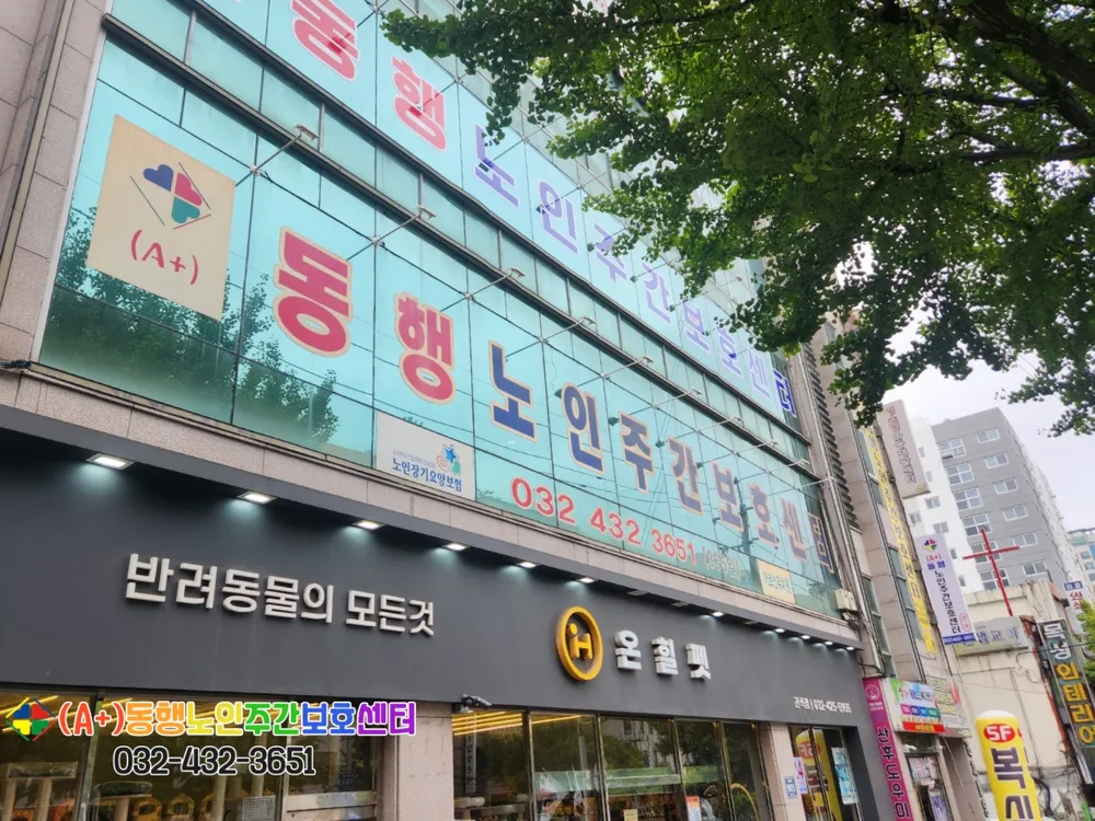 에이플러스동행노인주간보호센터 대표 이미지