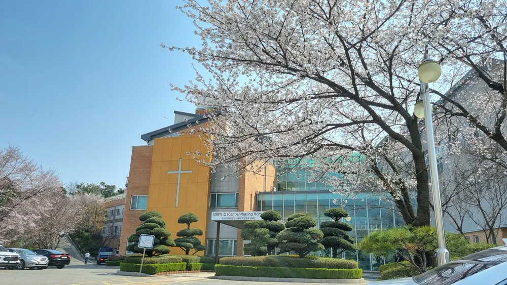 중앙양로원 대표 이미지