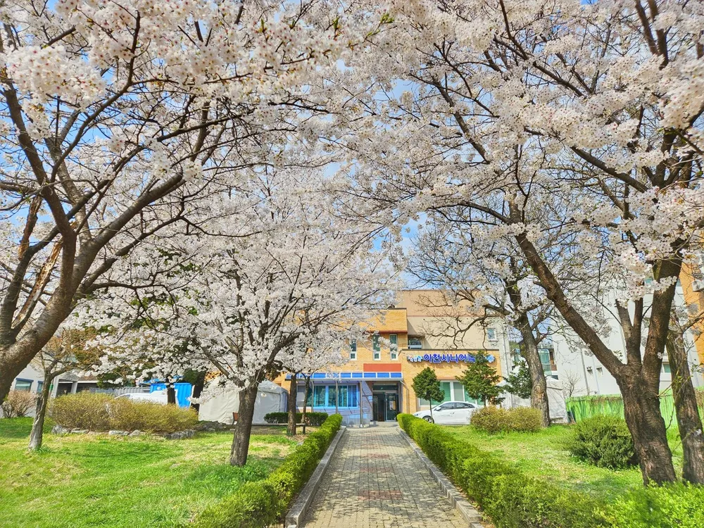 이천시니어클럽 대표 이미지