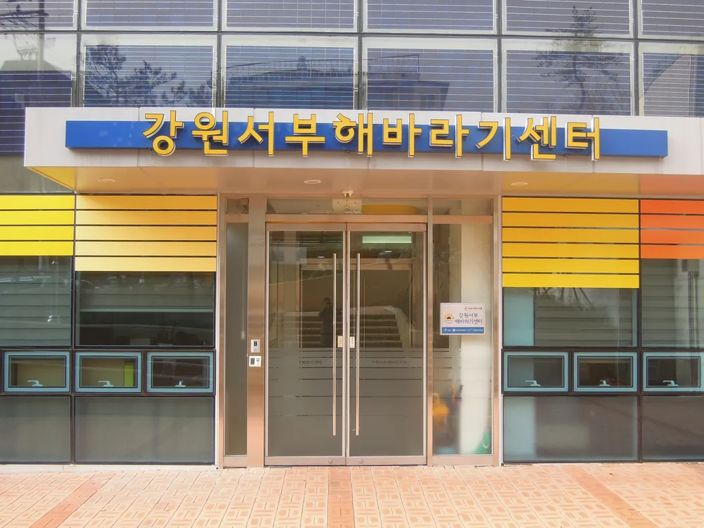 강원서부해바라기센터 대표 이미지