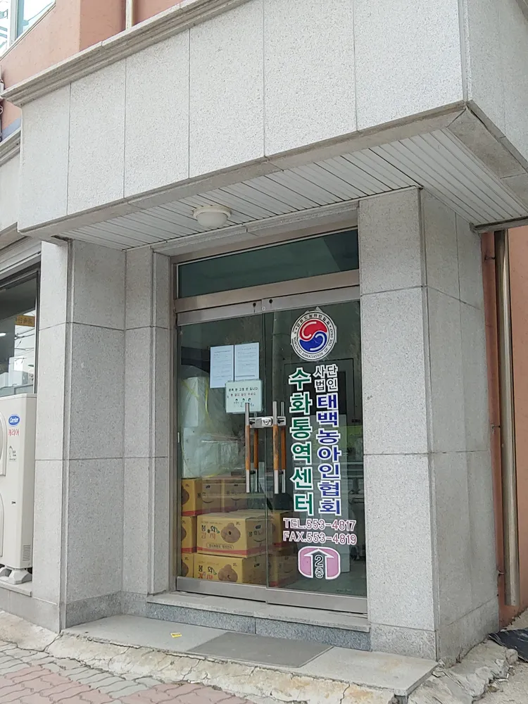 태백시수어통역센터 대표 이미지