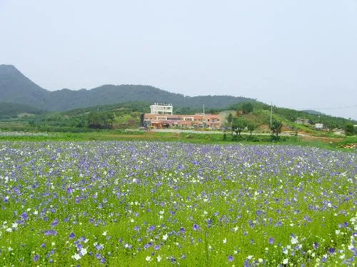 동진노인복지센터 대표 이미지