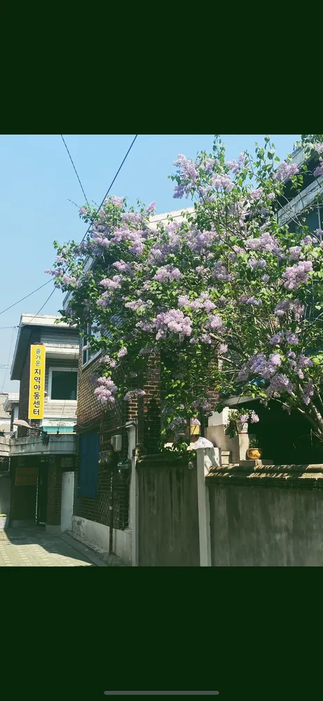 즐거운지역아동센터 대표 이미지