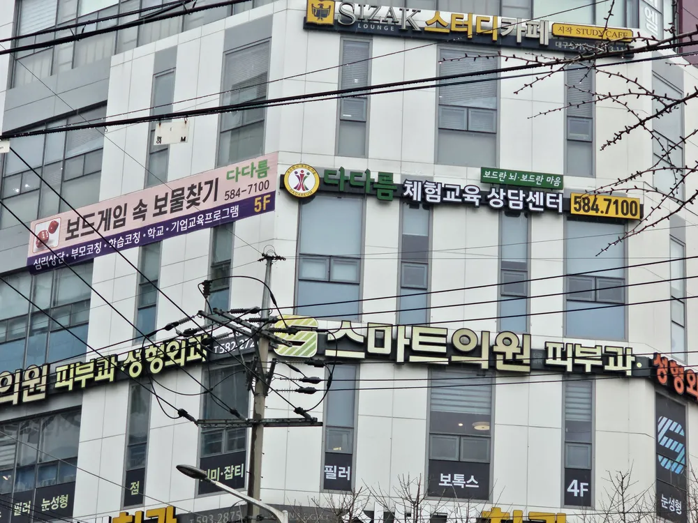 다다름체험교육상담센터 대표 이미지