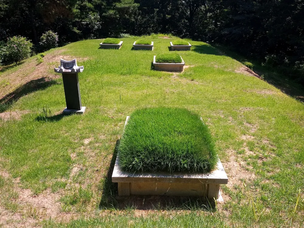 벌초초록장묘개발 대표 이미지