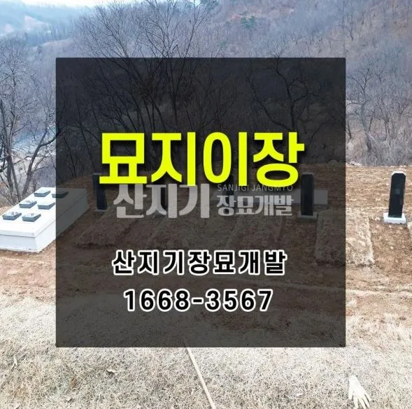 산지기장묘개발 대표 이미지