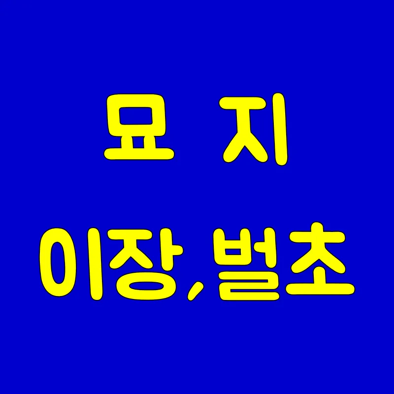 묘지파묘이장화장벌초대행 대표 이미지