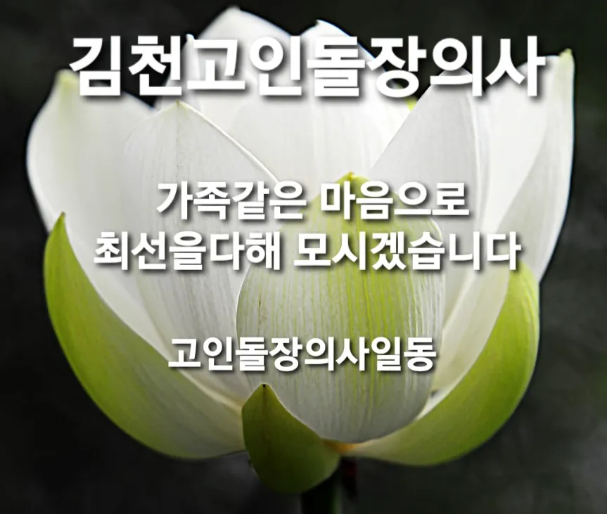 고인돌장의사 대표 이미지