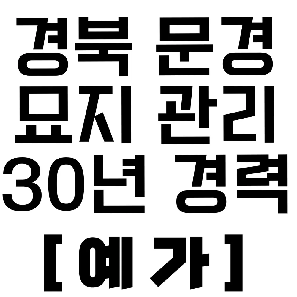 예가 대표 이미지