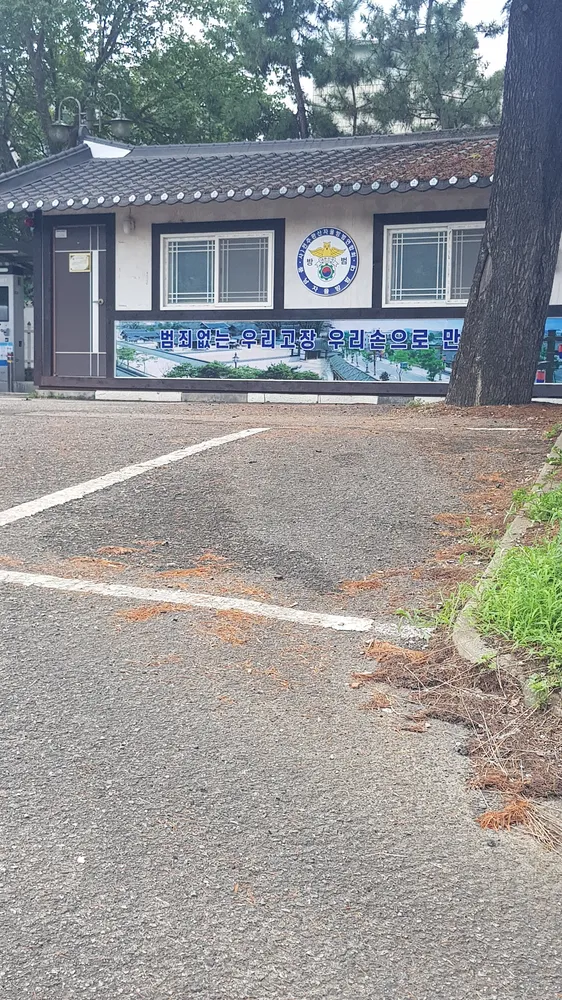 풍남자율방범대 대표 이미지